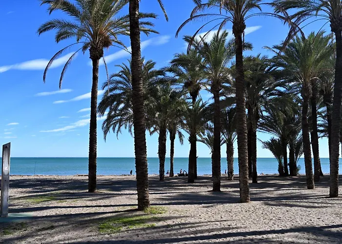 Love Rent4 Malaga Alamar